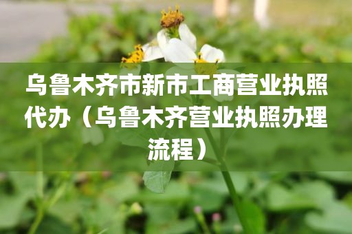 乌鲁木齐市新市工商营业执照代办(乌鲁木齐营业执照办理流程)