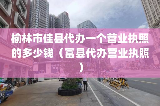 榆林市佳县代办一个营业执照的多少钱（富县代办营业执照）