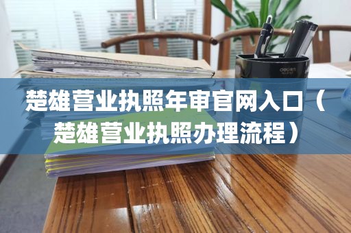 楚雄营业执照年审官网入口(楚雄营业执照办理流程)