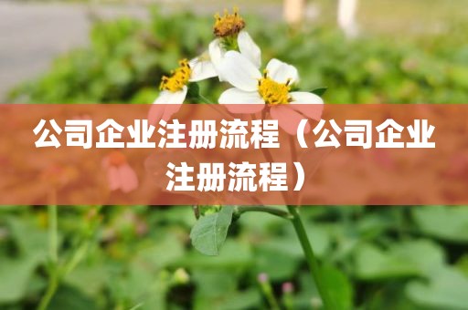 公司企业注册流程（公司企业注册流程）