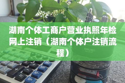 湖南个体工商户营业执照年检网上注销（湖南个体户注销流程）