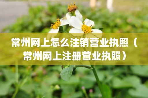 常州网上怎么注销营业执照（常州网上注册营业执照）