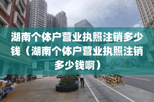 湖南个体户营业执照注销多少钱(湖南个体户营业执照注销多少钱啊)