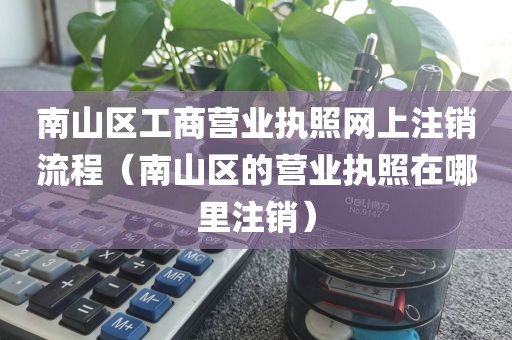 南山区工商营业执照网上注销流程（南山区的营业执照在哪里注销）