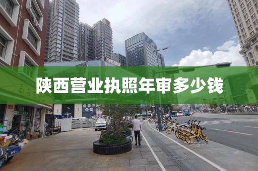 陕西营业执照年审多少钱
