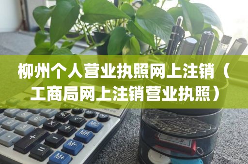 柳州个人营业执照网上注销(工商局网上注销营业执照)