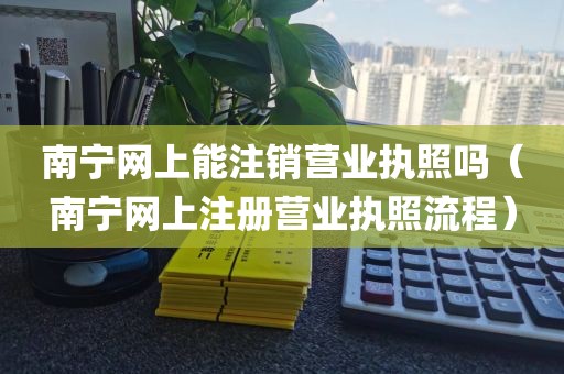 南宁网上能注销营业执照吗（南宁网上注册营业执照流程）
