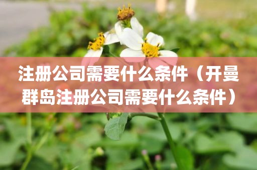 注册公司需要什么条件（开曼群岛注册公司需要什么条件）