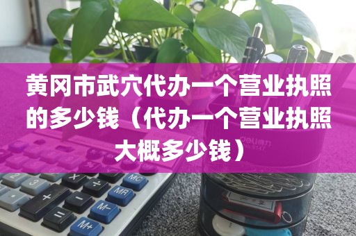 黄冈市武穴代办一个营业执照的多少钱(代办一个营业执照大概多少钱)