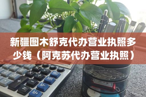 新疆图木舒克代办营业执照多少钱（阿克苏代办营业执照）