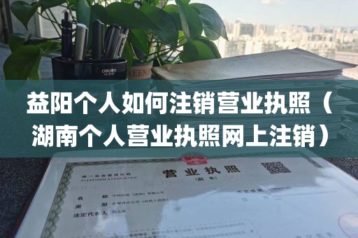 益阳个人如何注销营业执照(湖南个人营业执照网上注销)