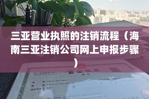 三亚营业执照的注销流程(海南三亚注销公司网上申报步骤)