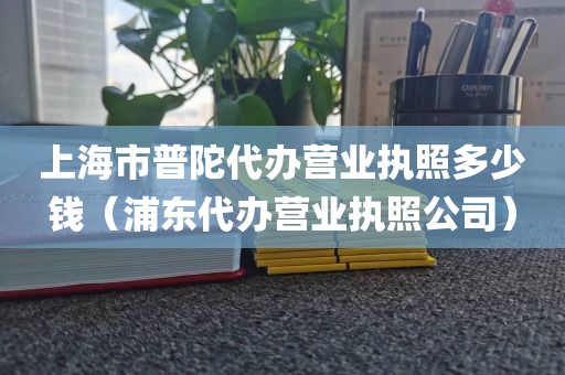 上海市普陀代办营业执照多少钱（浦东代办营业执照公司）