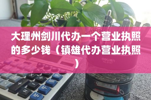 大理州剑川代办一个营业执照的多少钱（镇雄代办营业执照）