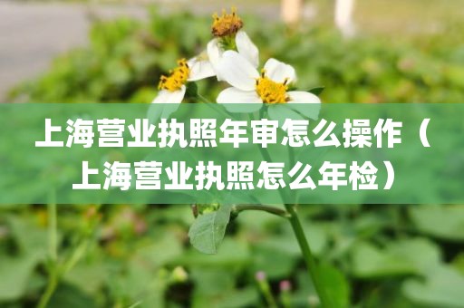 上海营业执照年审怎么操作（上海营业执照怎么年检）