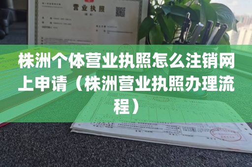 株洲个体营业执照怎么注销网上申请（株洲营业执照办理流程）