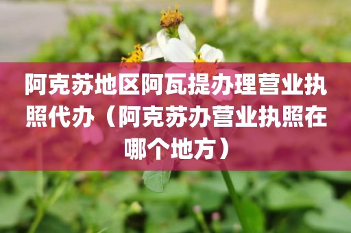 阿克苏地区阿瓦提办理营业执照代办（阿克苏办营业执照在哪个地方）