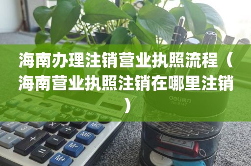 海南办理注销营业执照流程（海南营业执照注销在哪里注销）