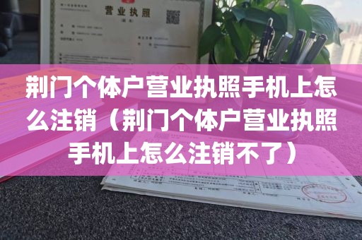 荆门个体户营业执照手机上怎么注销（荆门个体户营业执照手机上怎么注销不了）