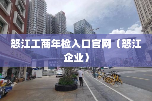 怒江工商年检入口官网(怒江企业)
