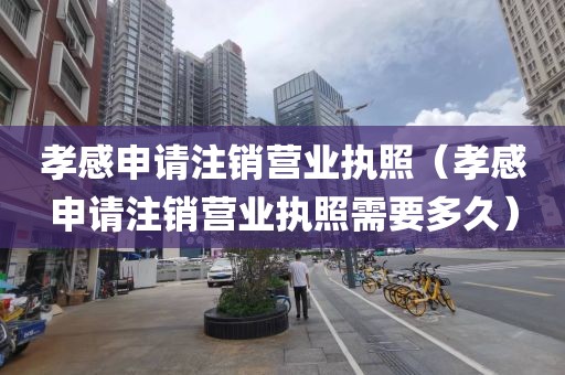 孝感申请注销营业执照（孝感申请注销营业执照需要多久）