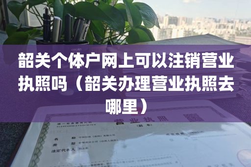 韶关个体户网上可以注销营业执照吗(韶关办理营业执照去哪里)