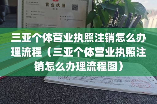 三亚个体营业执照注销怎么办理流程（三亚个体营业执照注销怎么办理流程图）