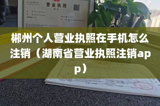郴州个人营业执照在手机怎么注销（湖南省营业执照注销app）