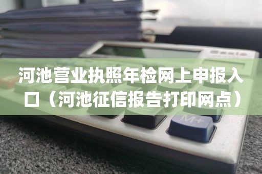 河池营业执照年检网上申报入口（河池征信报告打印网点）