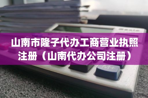 山南市隆子代办工商营业执照注册(山南代办公司注册)