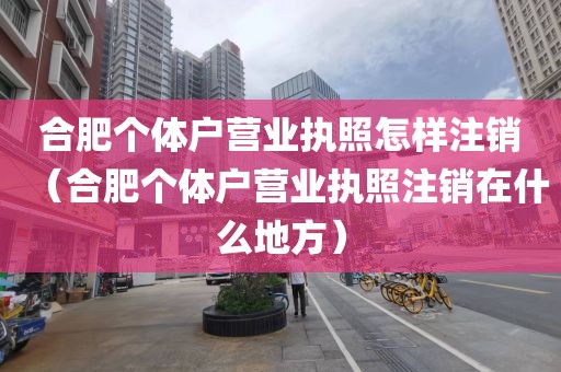 合肥个体户营业执照怎样注销（合肥个体户营业执照注销在什么地方）