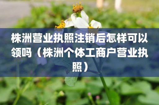 株洲营业执照注销后怎样可以领吗（株洲个体工商户营业执照）