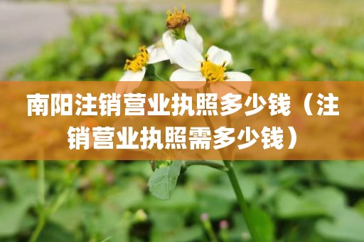 南阳注销营业执照多少钱（注销营业执照需多少钱）