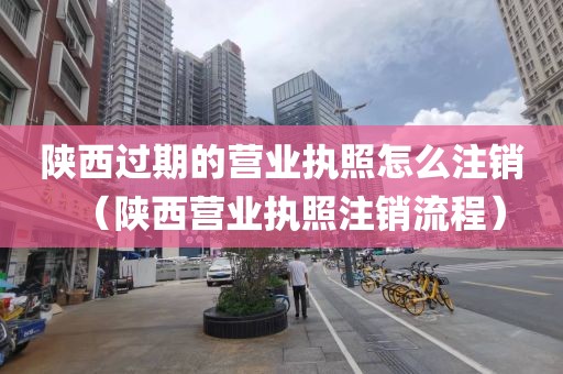 陕西过期的营业执照怎么注销（陕西营业执照注销流程）