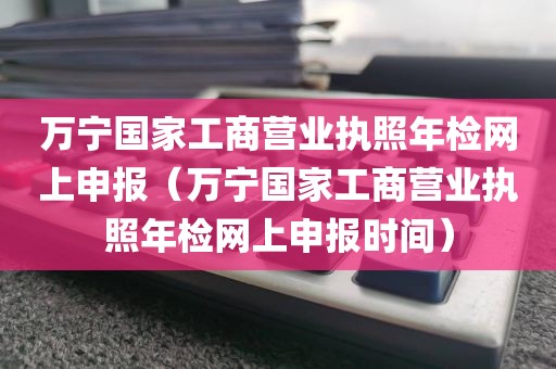 万宁国家工商营业执照年检网上申报(万宁国家工商营业执照年检网上申报时间)
