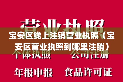 宝安区线上注销营业执照(宝安区营业执照到哪里注销)