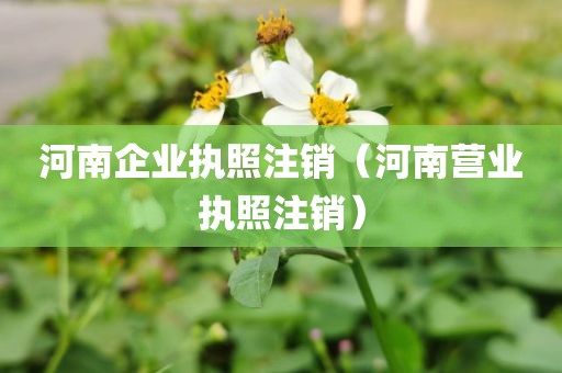 河南企业执照注销（河南营业执照注销）