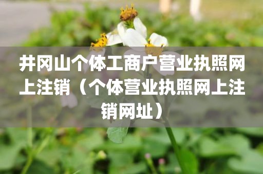 井冈山个体工商户营业执照网上注销（个体营业执照网上注销网址）