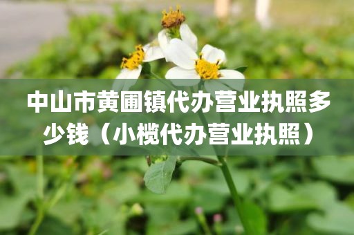 中山市黄圃镇代办营业执照多少钱（小榄代办营业执照）