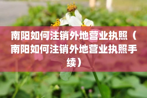 南阳如何注销外地营业执照（南阳如何注销外地营业执照手续）