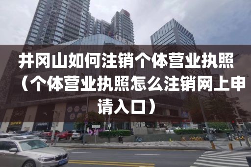 井冈山如何注销个体营业执照（个体营业执照怎么注销网上申请入口）