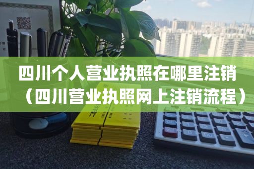 四川个人营业执照在哪里注销（四川营业执照网上注销流程）