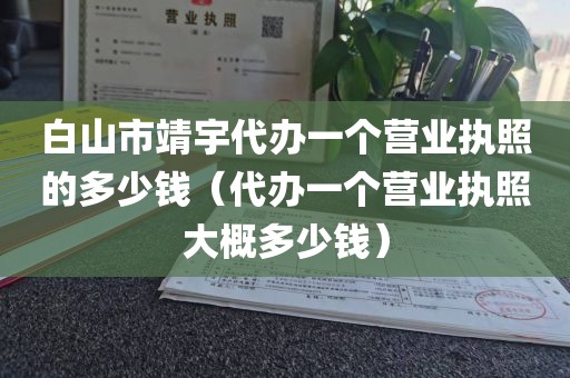 白山市靖宇代办一个营业执照的多少钱（代办一个营业执照大概多少钱）