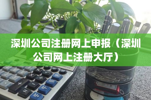 深圳公司注册网上申报(深圳公司网上注册大厅)