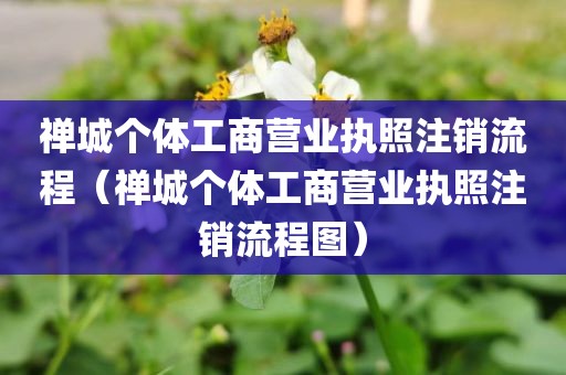 禅城个体工商营业执照注销流程（禅城个体工商营业执照注销流程图）