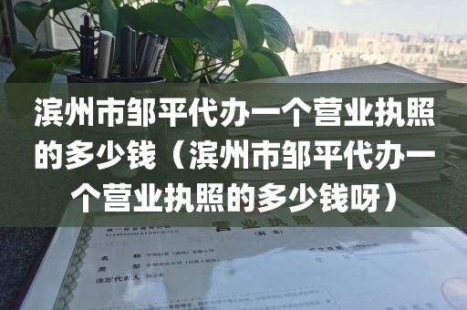 滨州市邹平代办一个营业执照的多少钱（滨州市邹平代办一个营业执照的多少钱呀）
