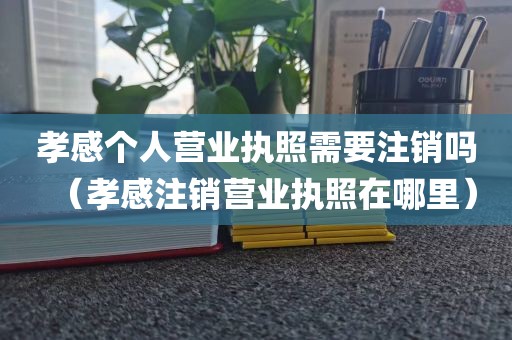孝感个人营业执照需要注销吗（孝感注销营业执照在哪里）
