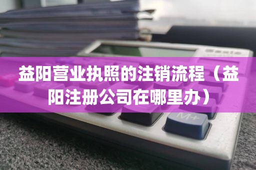 益阳营业执照的注销流程(益阳注册公司在哪里办)