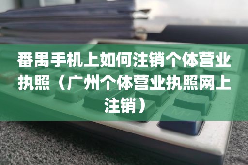 番禺手机上如何注销个体营业执照（广州个体营业执照网上注销）