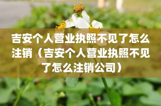 吉安个人营业执照不见了怎么注销（吉安个人营业执照不见了怎么注销公司）